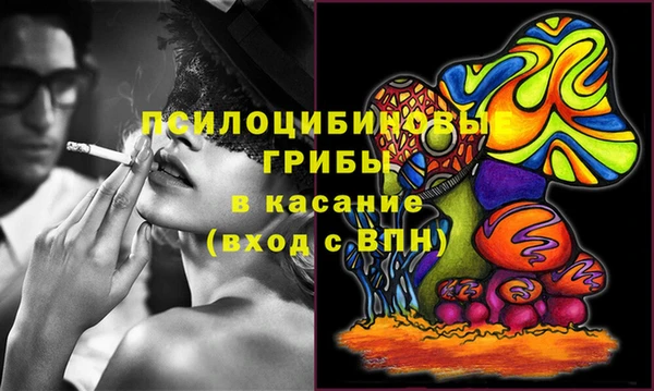 гашик Остров