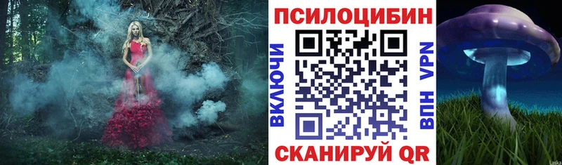 Галлюциногенные грибы Psilocybine cubensis  Кремёнки 